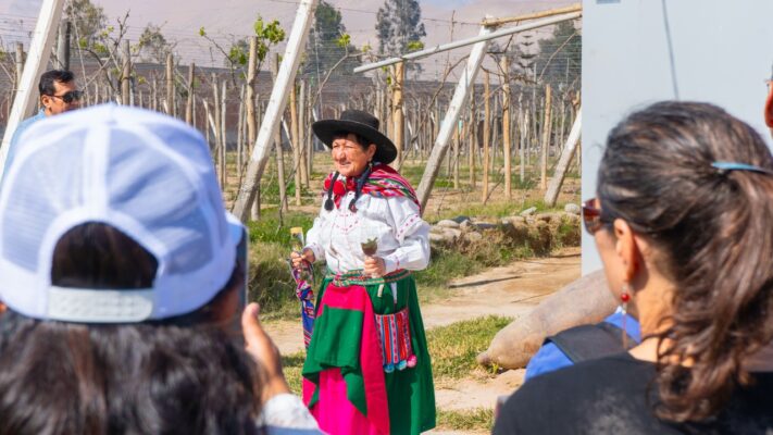 bodegas en Tacna