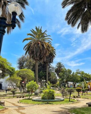 excursiones guiadas tacna - 003