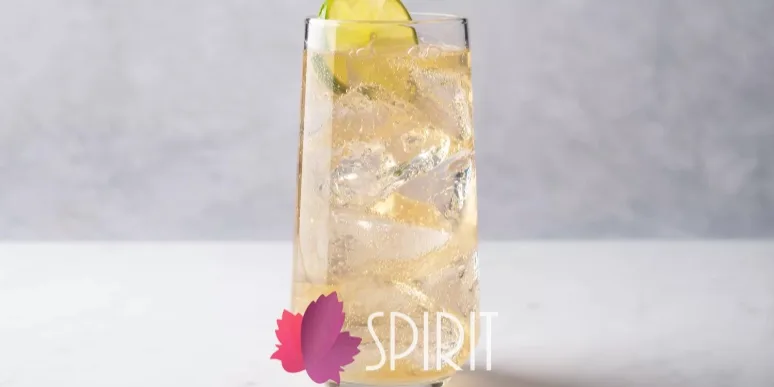 mejor pisco para un chilcano